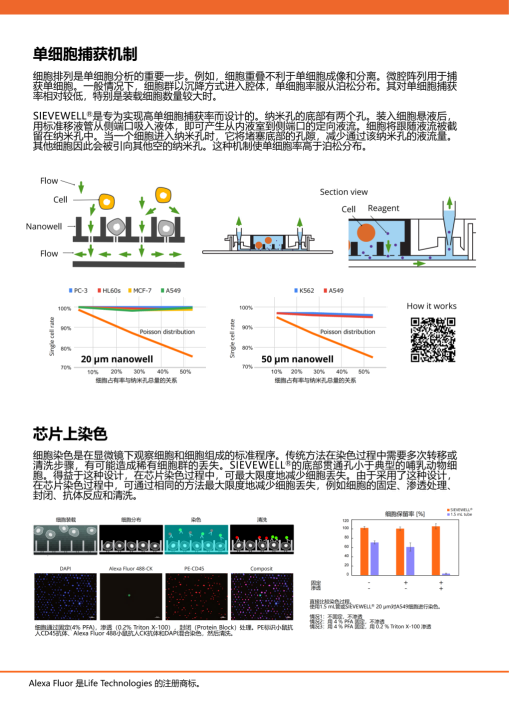 SIEVEWELL_Brochure_簡体中文_02.png