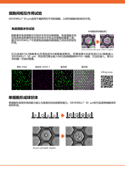 SIEVEWELL_Brochure_簡体中文_06.png