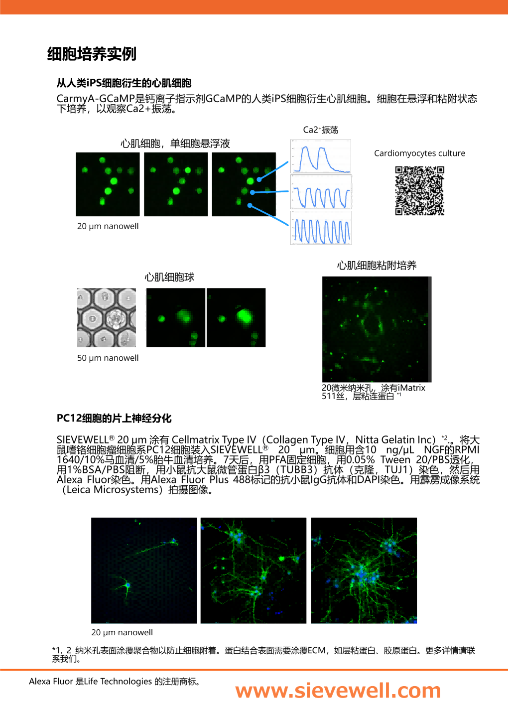 SIEVEWELL_Brochure_簡体中文_07.png