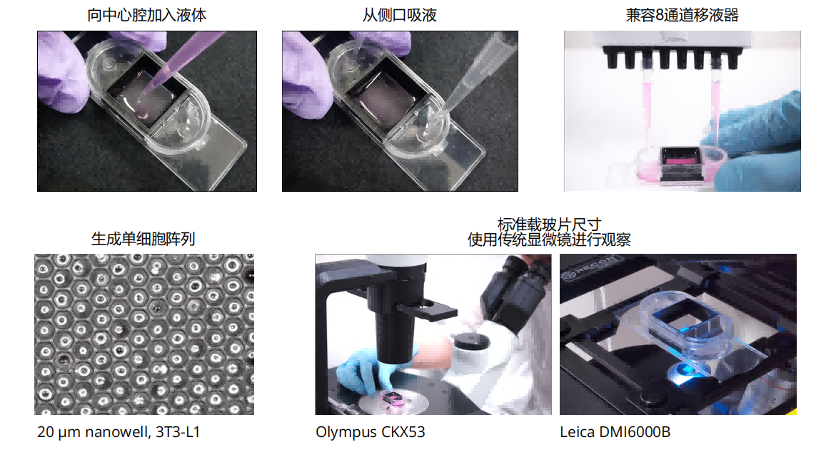 单细胞捕获 极简方案