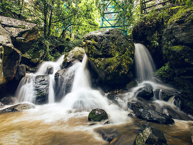 公司2020年“激情一夏”活动