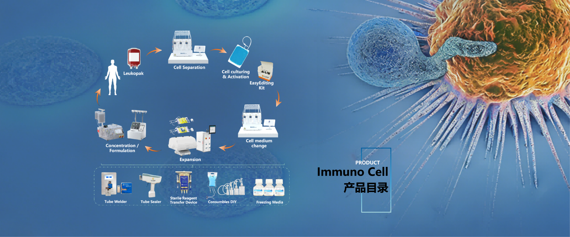 赛迪际生物