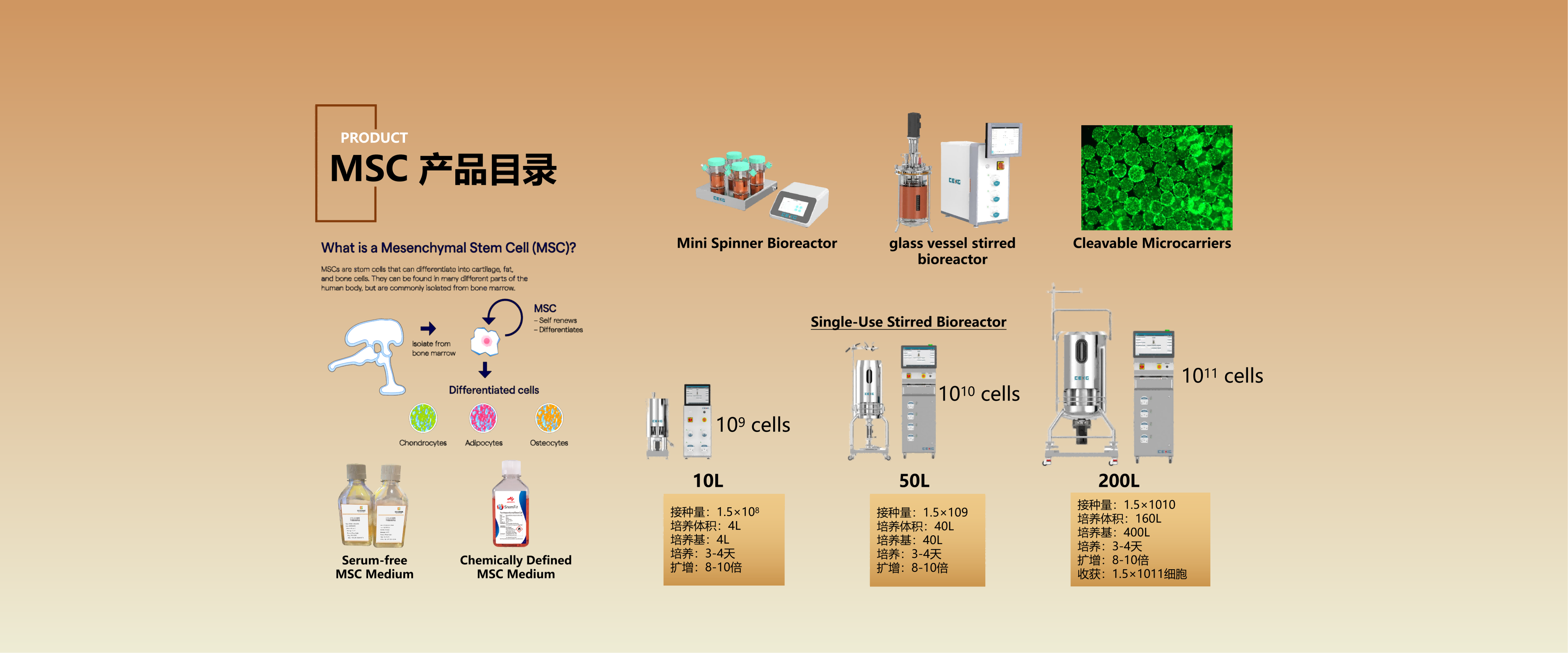 赛迪际生物