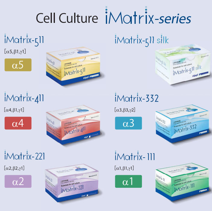 iMatrix系列 细胞粘连蛋白Laminin