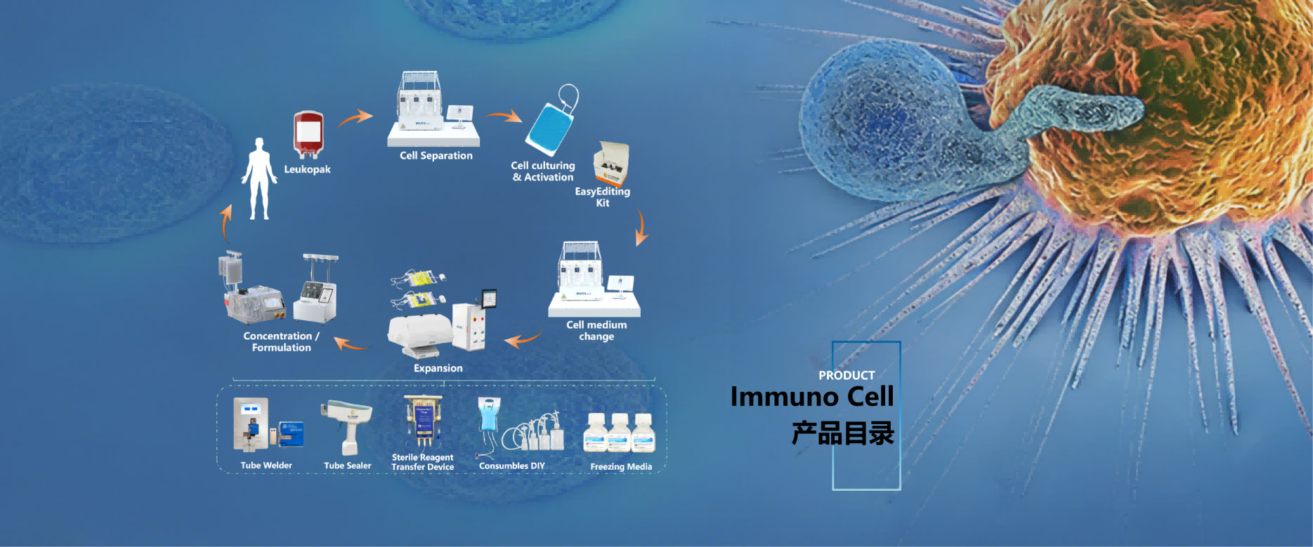 赛迪际生物