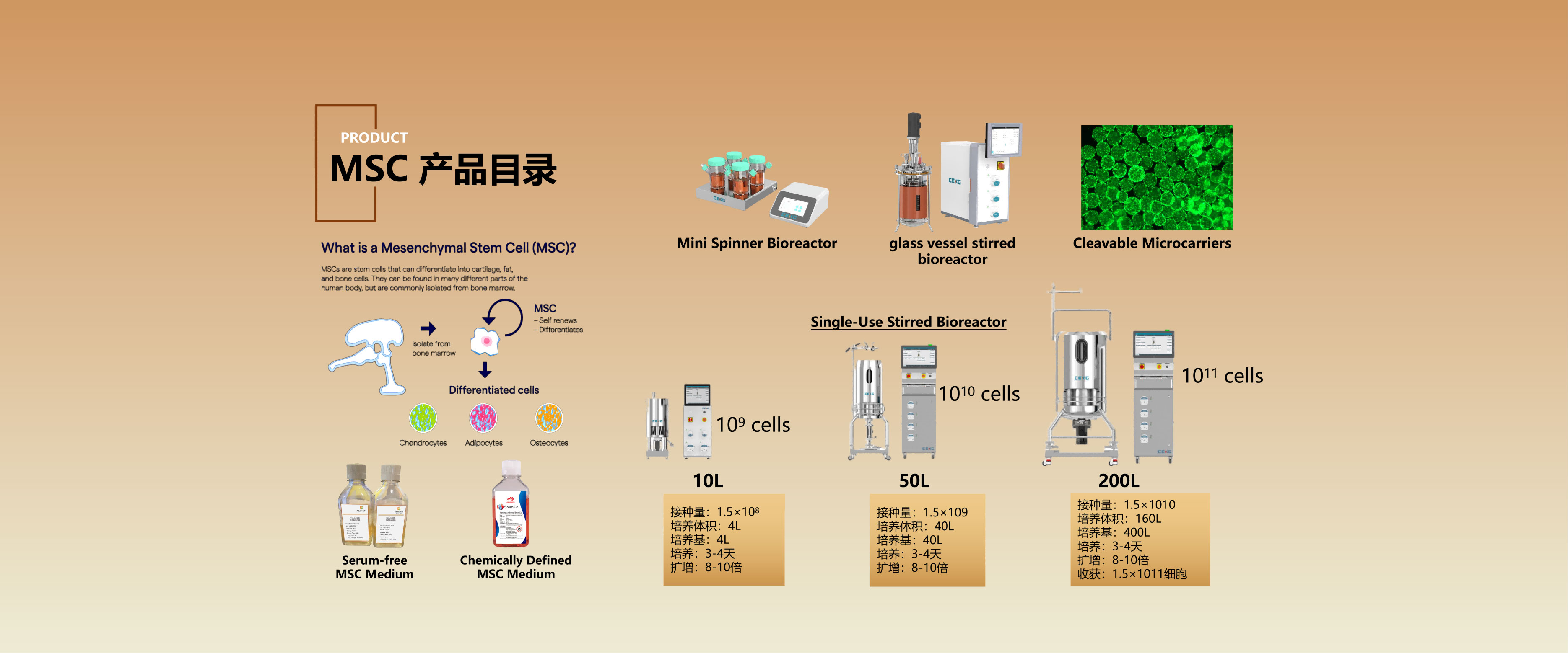 赛迪际生物