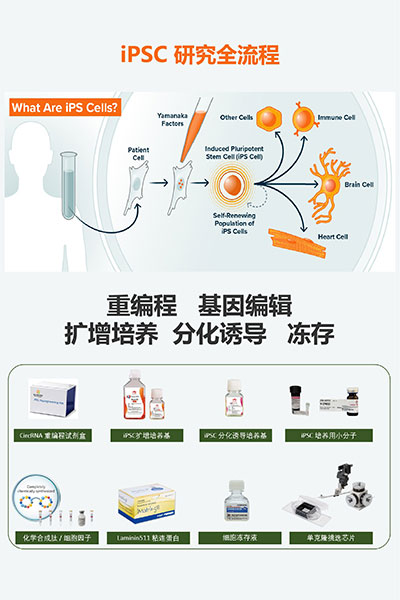 iPSC产品方案