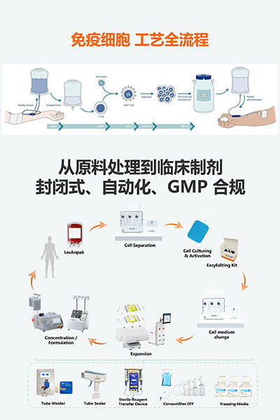 免疫细胞产品方案