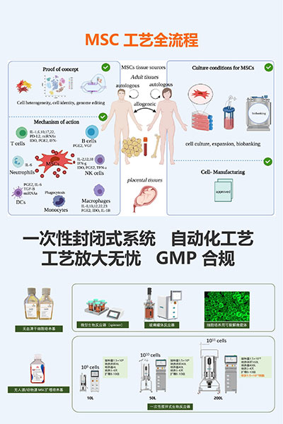 MSC产品方案