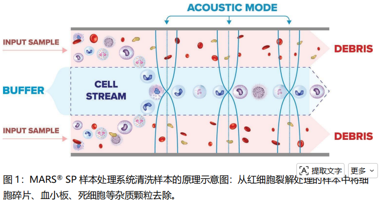 3e91fd6d-a6de-42cc-aff6-34f0d95bce42.png